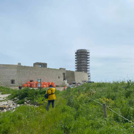 fort-cigogne-mai-2023-2