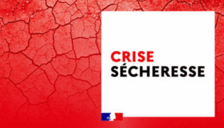 Secheresse-le-departement-du-Finistere-est-place-en-crise-secheresse_large