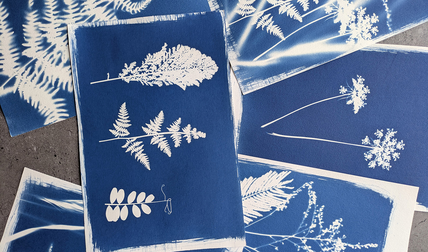Atelier cyanotype